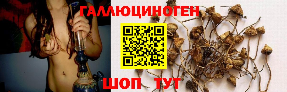 Галлюциногенные грибы Psilocybe  Галлюциногенные грибы ЛСД  Дятьково  Вход с VPN 